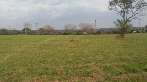 imagem 2 - Lote plano - Palmas Del Rey imagem 2 - Lote plano - Palmas Del Rey