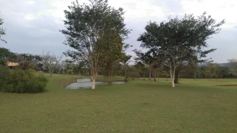 imagem 3 - Lote plano - Palmas Del Rey imagem 3 - Lote plano - Palmas Del Rey
