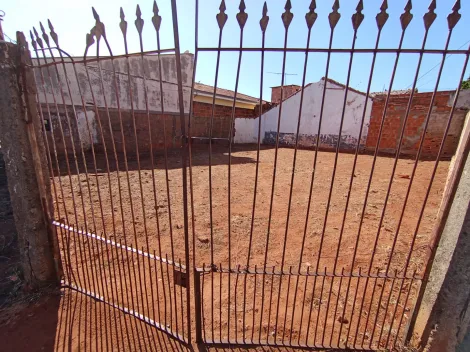 imagem 4 - Terreno - Vila Ipiranga imagem 4 - Terreno - Vila Ipiranga