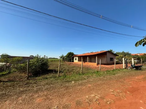 imagem 1 - Excelente chácara em Iacanga/SP imagem 1 - Excelente chácara em Iacanga/SP