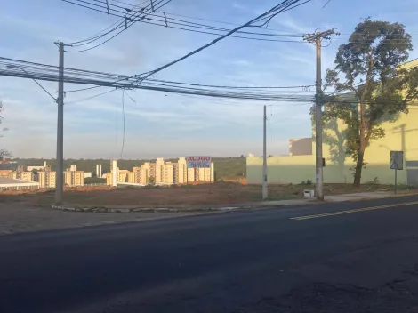 Bauru Vila Engler Area Locacao R$ 35.000,00  Area do terreno 702.00m2 
