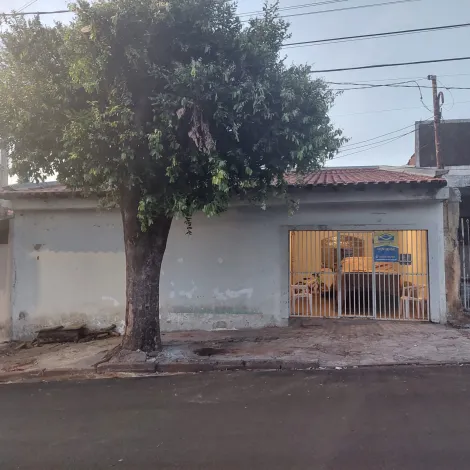 imagem 1 - Terreno - Geisel imagem 1 - Terreno - Geisel