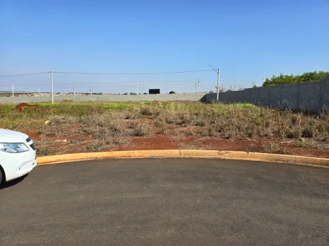 imagem 1 - Terreno dentro do condomínio pronto para construir! imagem 1 - Terreno dentro do condomínio pronto para construir!