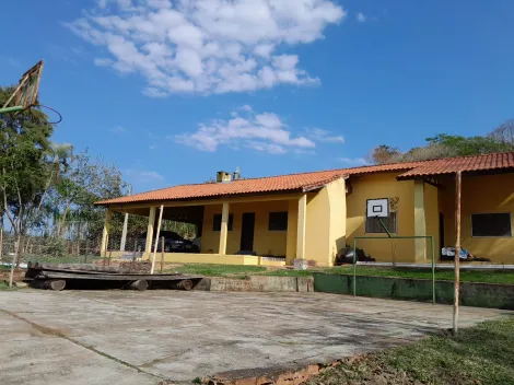 Pardinho Area Rural rural Venda R$750.000,00 3 Dormitorios 5 Vagas Pardinho Area Rural rural Venda R$750.000,00 3 Dormitorios 5 Vagas