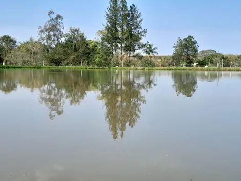 imagem 5 - Linda Chacará em Pardinho - Barra Mansa imagem 5 - Linda Chacará em Pardinho - Barra Mansa