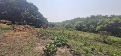 imagem 1 - Terreno - Área imagem 1 - Terreno - Área