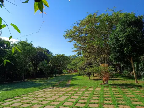 imagem 5 - Linda chácara, 5000m² de muita paz!!! imagem 5 - Linda chácara, 5000m² de muita paz!!!