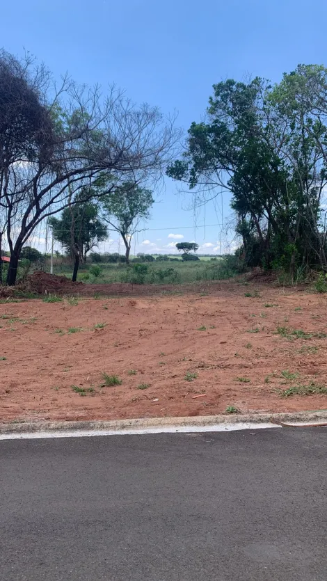imagem 3 - TERRENO NO VALE DO IGAPÓ imagem 3 - TERRENO NO VALE DO IGAPÓ