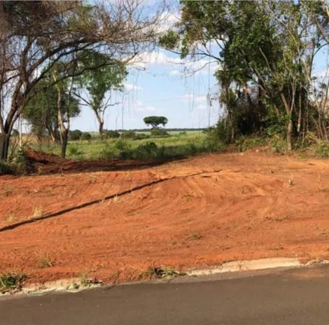 imagem 4 - TERRENO NO VALE DO IGAPÓ imagem 4 - TERRENO NO VALE DO IGAPÓ