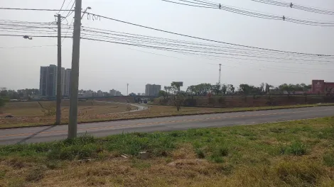 imagem 3 - Área Bauru na Vila Aviação imagem 3 - Área Bauru na Vila Aviação