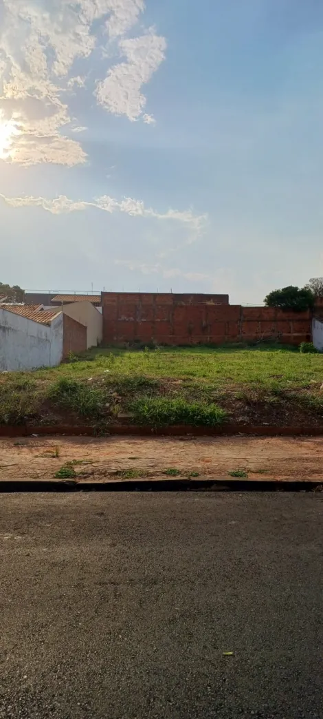 imagem 1 - Excelente terreno - Alto Paraíso imagem 1 - Excelente terreno - Alto Paraíso
