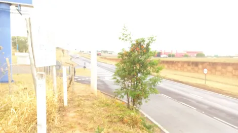 imagem 1 - Terreno na Rod Marechal Rondon imagem 1 - Terreno na Rod Marechal Rondon