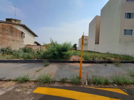 imagem 5 - Terreno Comercial  Jd Estoril imagem 5 - Terreno Comercial  Jd Estoril