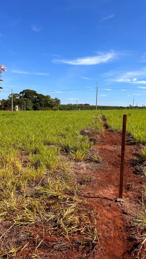 imagem 1 - Lote Vila da Mata 1 imagem 1 - Lote Vila da Mata 1