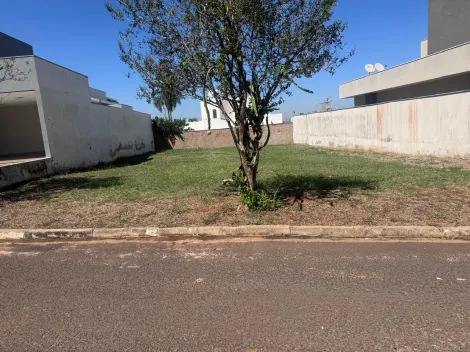 imagem 3 - Lote amplo no Villagio Campo Novo! imagem 3 - Lote amplo no Villagio Campo Novo!