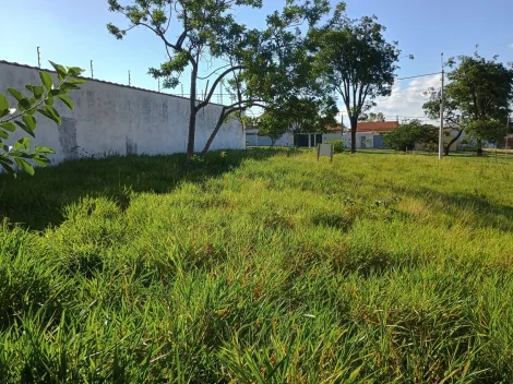 imagem 1 - Terreno - Área imagem 1 - Terreno - Área