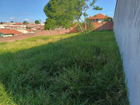 imagem 2 - Terreno - Área imagem 2 - Terreno - Área