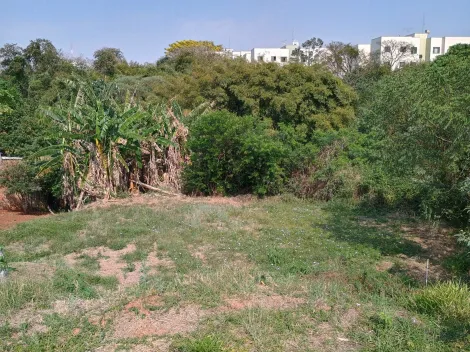 imagem 1 - Terreno - Padrão imagem 1 - Terreno - Padrão