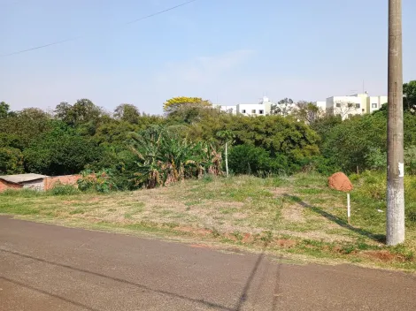imagem 3 - Terreno - Padrão imagem 3 - Terreno - Padrão