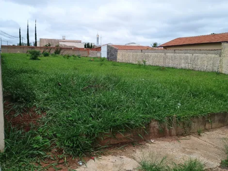 imagem 1 - Terreno - Padrão imagem 1 - Terreno - Padrão