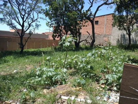 imagem 3 - Lotes a Venda no Jardim Monica imagem 3 - Lotes a Venda no Jardim Monica
