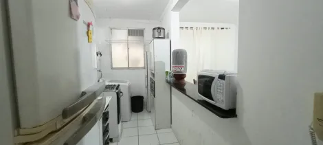 imagem 3 - Apartamento 02 Dormitórios - Parque Braga imagem 3 - Apartamento 02 Dormitórios - Parque Braga