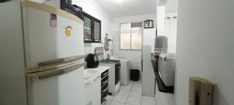 imagem 4 - Apartamento 02 Dormitórios - Parque Braga imagem 4 - Apartamento 02 Dormitórios - Parque Braga