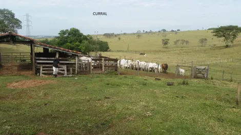imagem 3 - SÍTIO NISSI imagem 3 - SÍTIO NISSI