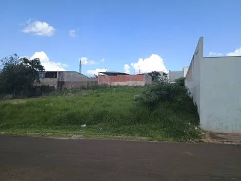imagem 2 - Terreno - Padrão imagem 2 - Terreno - Padrão