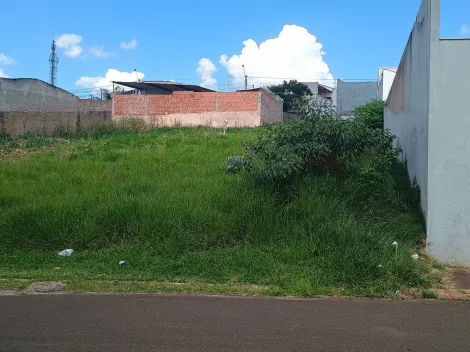 imagem 4 - Terreno - Padrão imagem 4 - Terreno - Padrão