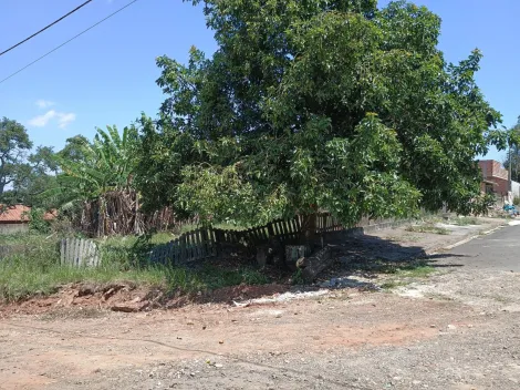 imagem 3 - Terreno a Venda  no Parque dos Pinheiros imagem 3 - Terreno a Venda  no Parque dos Pinheiros
