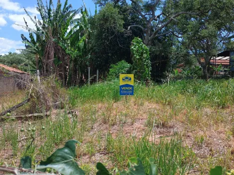 imagem 4 - Terreno a Venda  no Parque dos Pinheiros imagem 4 - Terreno a Venda  no Parque dos Pinheiros