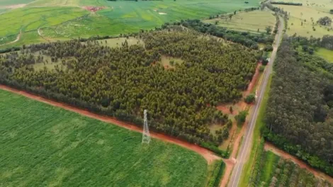 imagem 3 - Áreas de 20.000m² - Parque Jaraguá imagem 3 - Áreas de 20.000m² - Parque Jaraguá