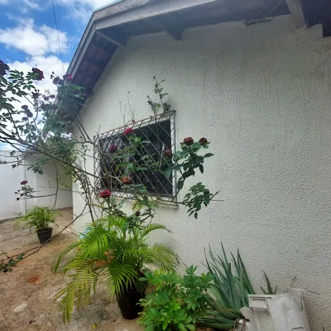 imagem 2 - Casa com Edícula - Mary Dota imagem 2 - Casa com Edícula - Mary Dota