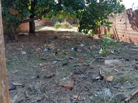 imagem 2 - Terreno - Padrão imagem 2 - Terreno - Padrão