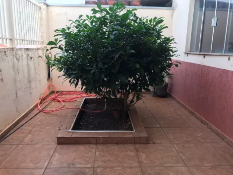 imagem 1 - Sobrado no Parque Elizabeth imagem 1 - Sobrado no Parque Elizabeth