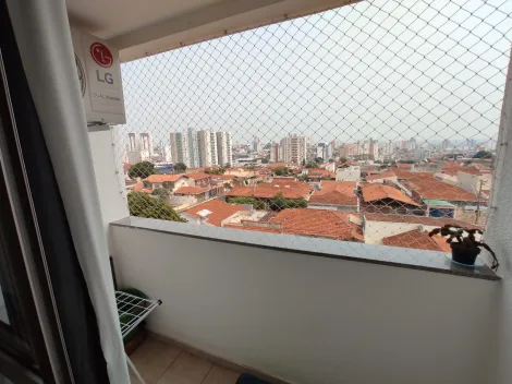 imagem 3 - Apartamento - Padrão imagem 3 - Apartamento - Padrão