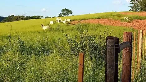 imagem 1 - Terreno - Área imagem 1 - Terreno - Área