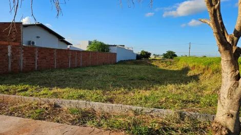 Alugar Terreno / Área em Jaú. apenas R$ 180.000,00