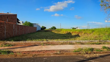 imagem 3 - Terreno - Área imagem 3 - Terreno - Área