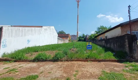 imagem 1 - Terreno excelente - Alto Paraíso imagem 1 - Terreno excelente - Alto Paraíso
