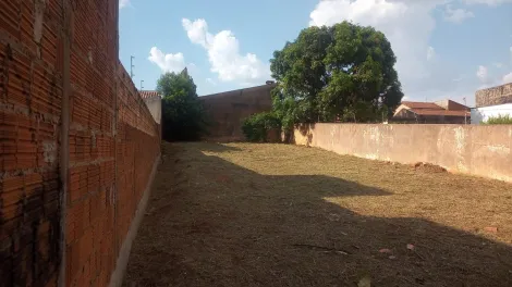 imagem 1 - Terreno - Pq Viaduto imagem 1 - Terreno - Pq Viaduto