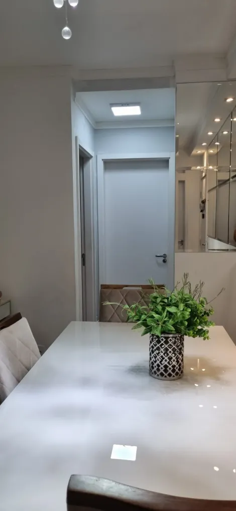 imagem 1 - Apartamento - Padrão