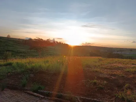 imagem 1 - Terreno - Padrão imagem 1 - Terreno - Padrão
