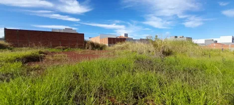 imagem 1 - Terreno - Padrão imagem 1 - Terreno - Padrão