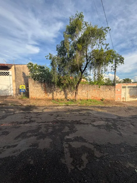 imagem 3 - Terreno à Venda no Jardim Bela Vista em Bauru! imagem 3 - Terreno à Venda no Jardim Bela Vista em Bauru!