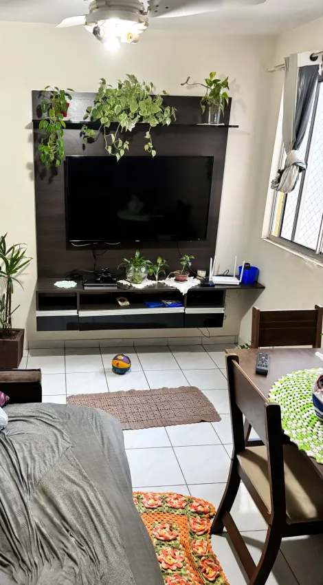 imagem 5 - Lindo apartamento completo em armários! imagem 5 - Lindo apartamento completo em armários!