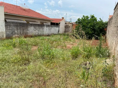 imagem 2 - Terreno Plano e Murado imagem 2 - Terreno Plano e Murado