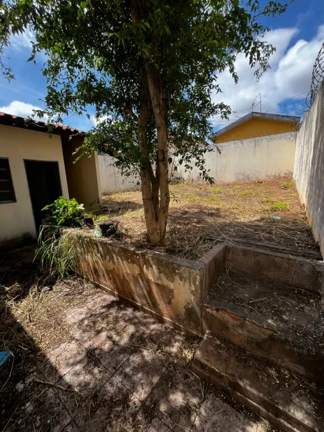 imagem 1 - Casa à Venda - Coronel  Alves Seabra imagem 1 - Casa à Venda - Coronel  Alves Seabra