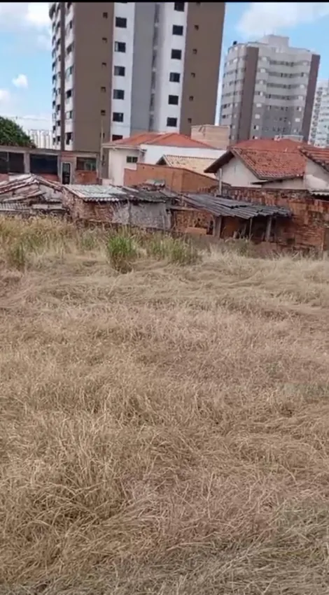 imagem 1 - Terreno - Padrão imagem 1 - Terreno - Padrão